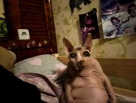 photo_2025-09-19_09-37-27.jpg photo_2025-09-19_09-37-27.jpg