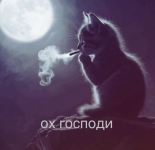 1778544751970.png
