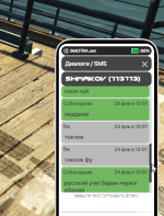 Grand Theft Auto V Screenshot 2023.02.24 - 14.05.21.68.png