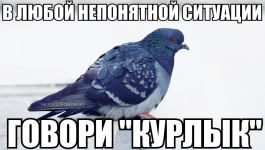 изображение_2024-04-18_001403798.png