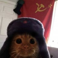 KotCCCP