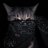 LAFFY_209